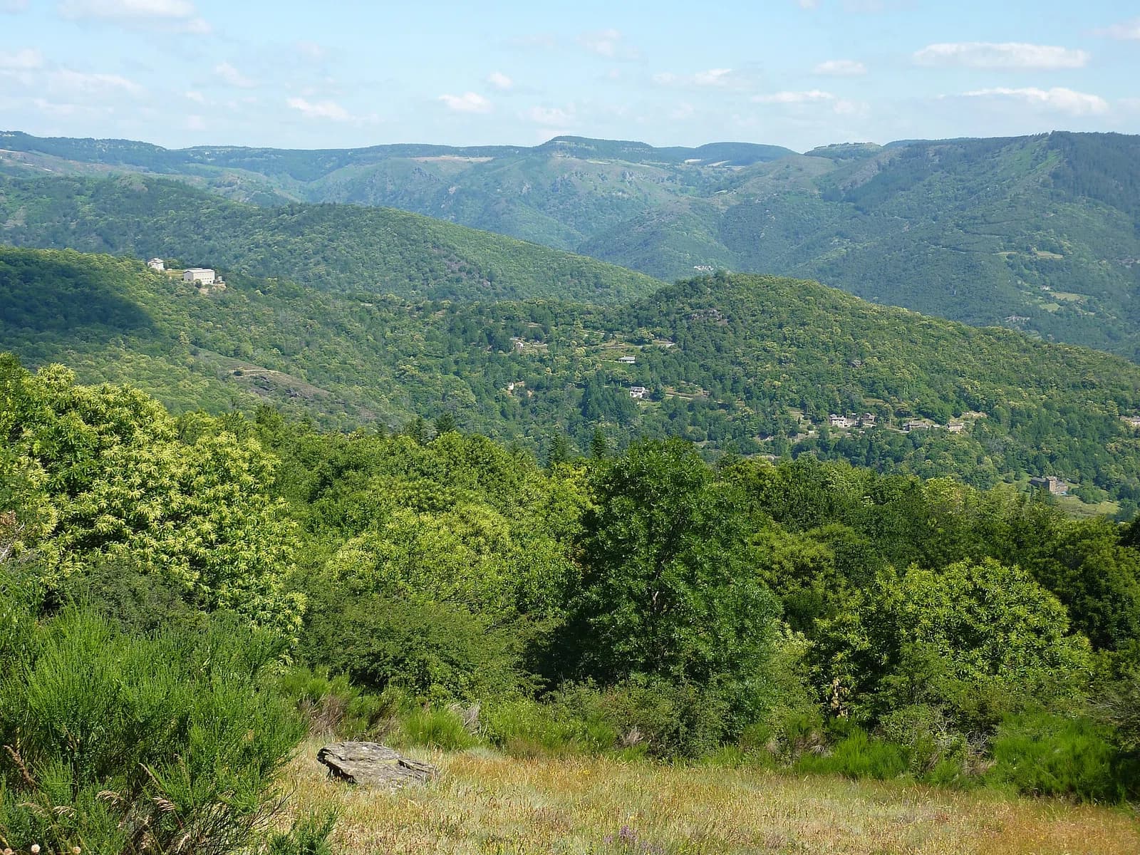 Sainte-Croix-Vallée-Française