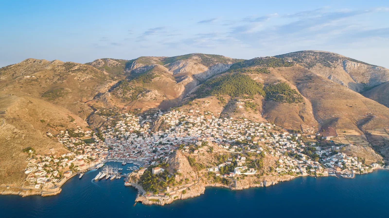 Hydra