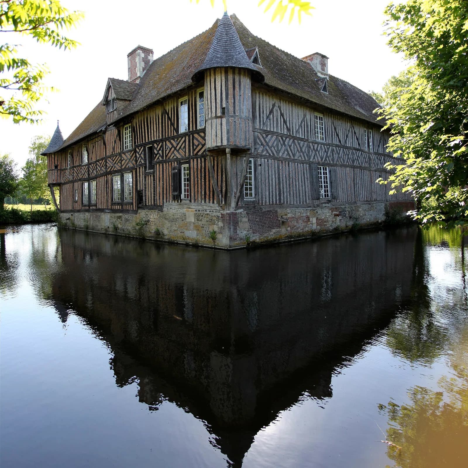 Coupesarte