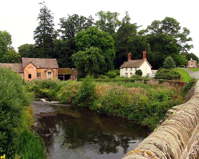 Bromfield