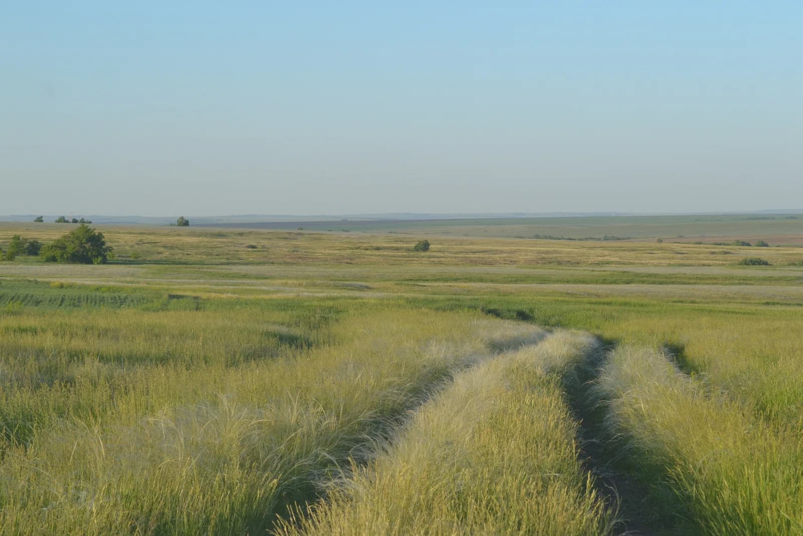 Kurmanayevsky District