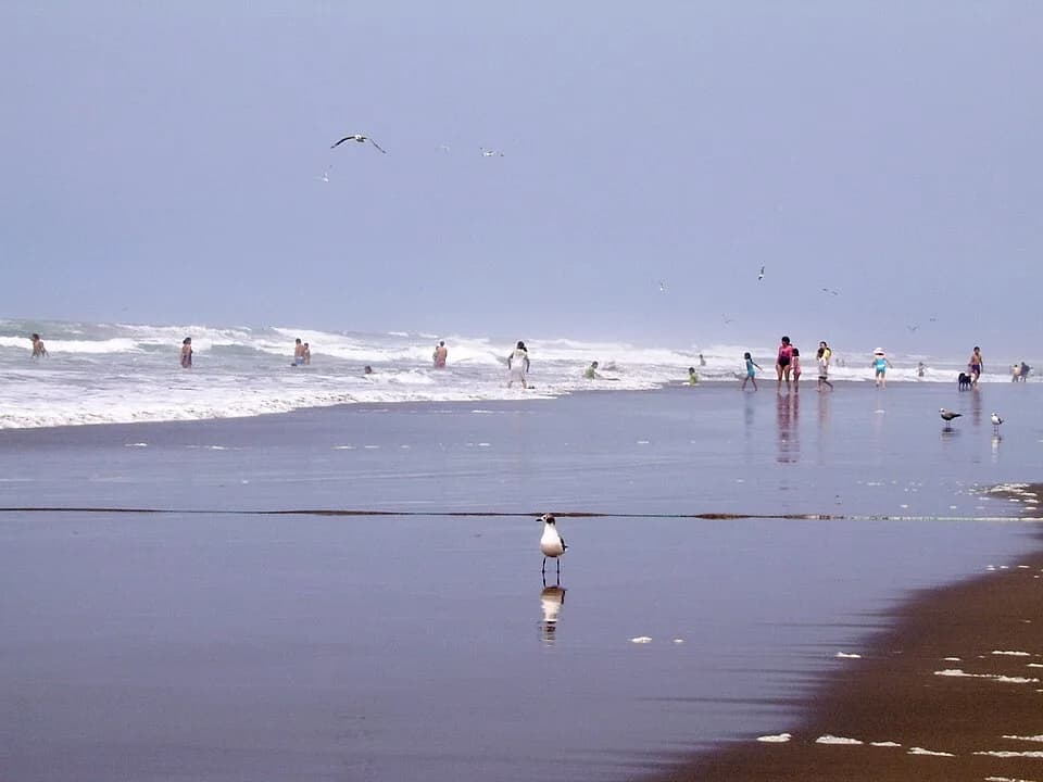 Punta de Bombon District