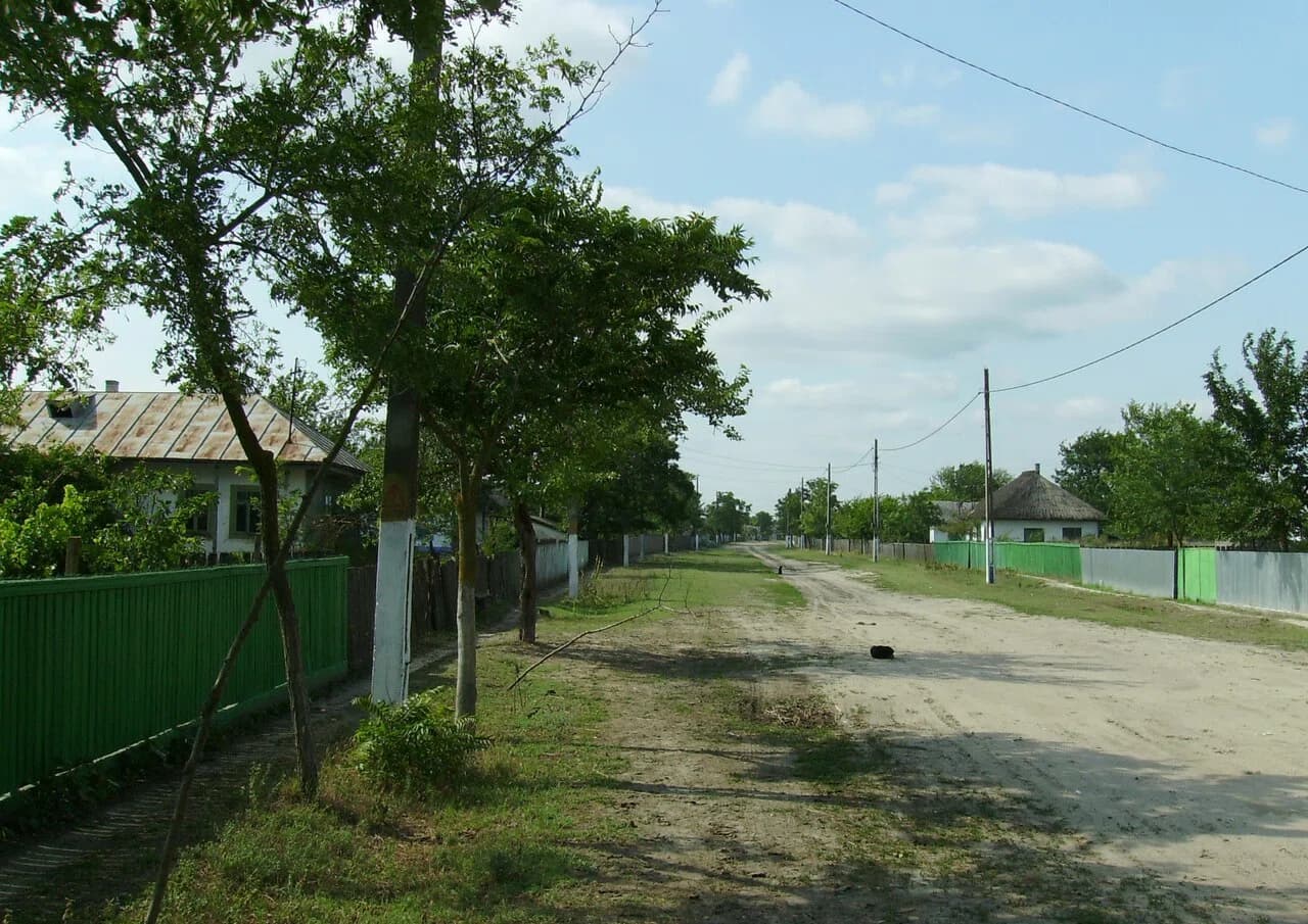 Letea