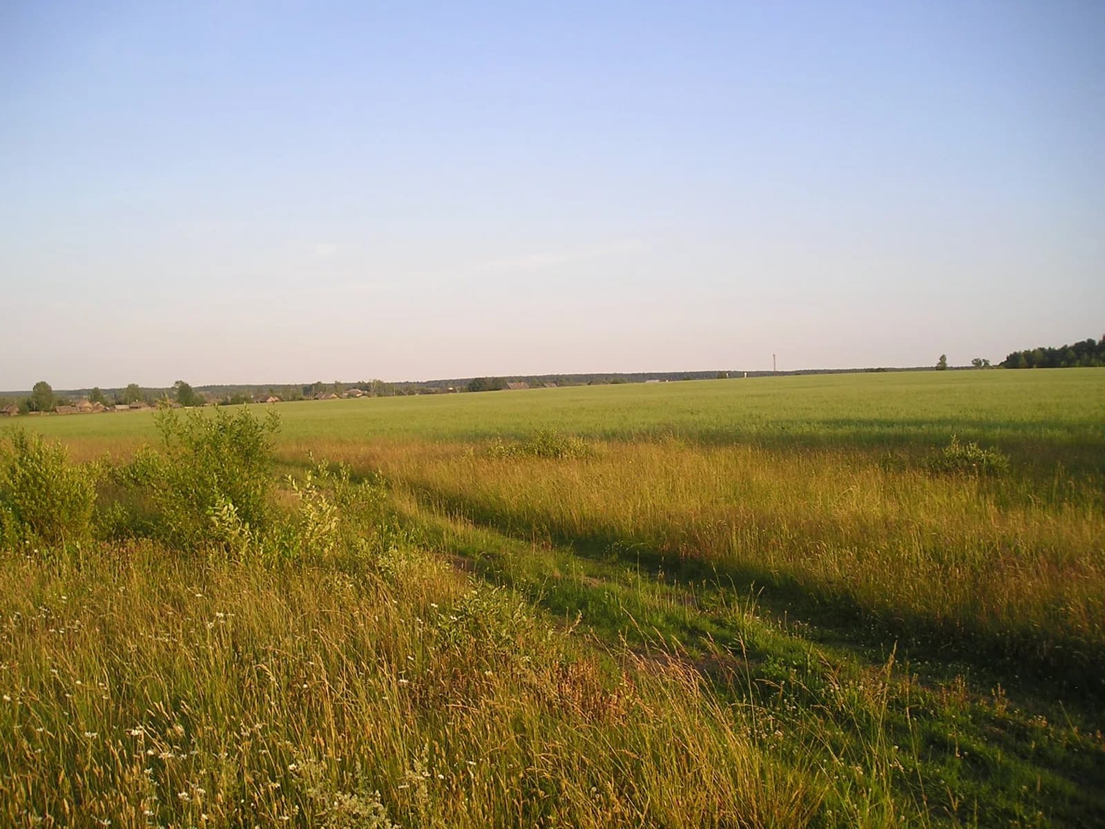 Makaryevsky District