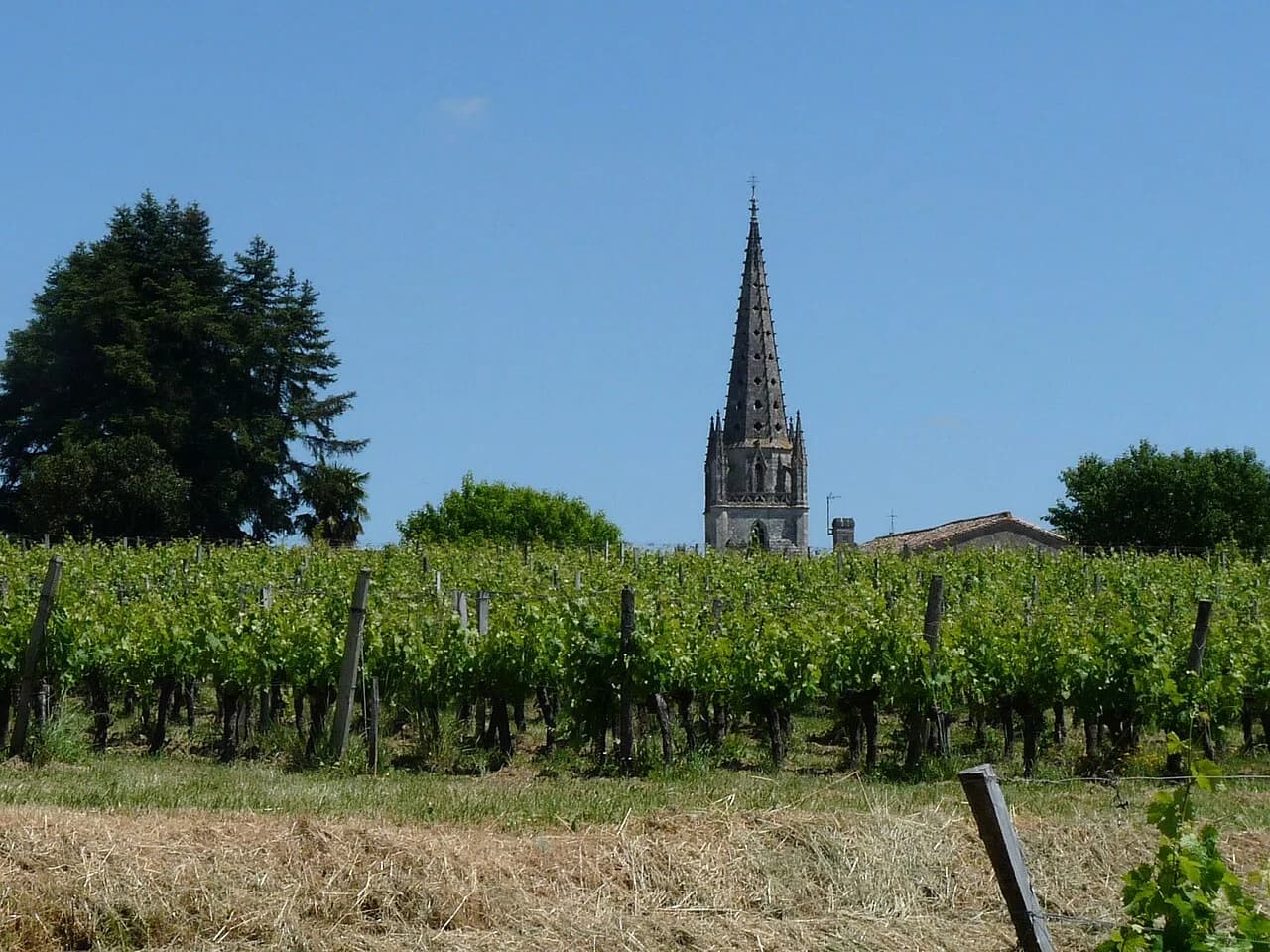 Salignac