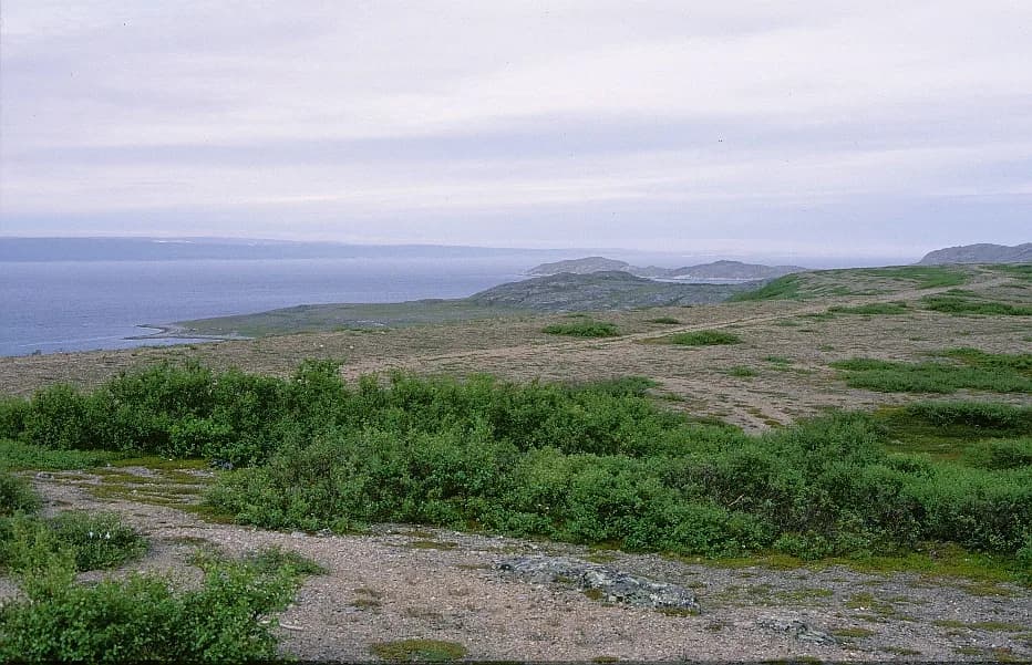 Varangerfjord