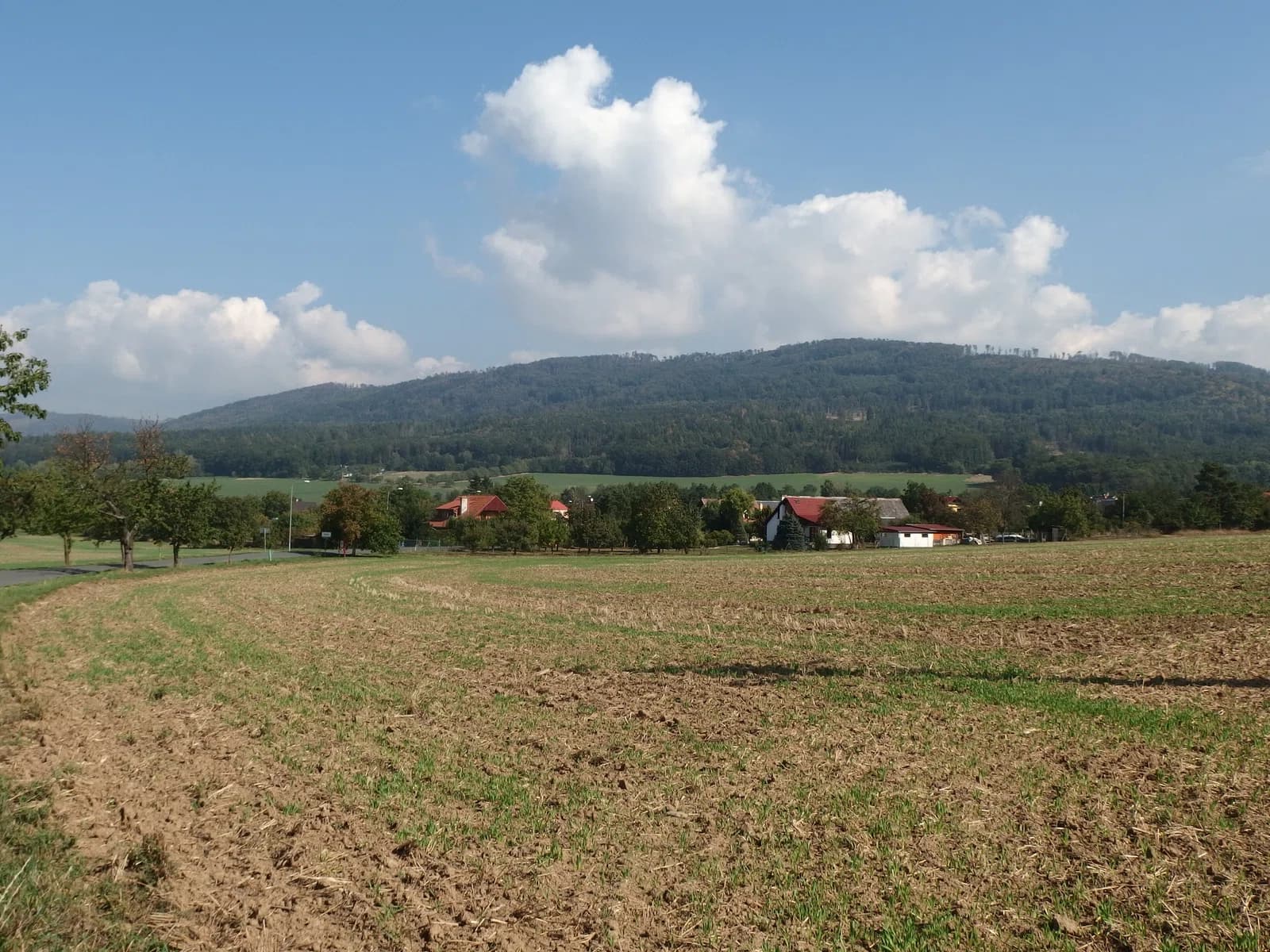Řídeč
