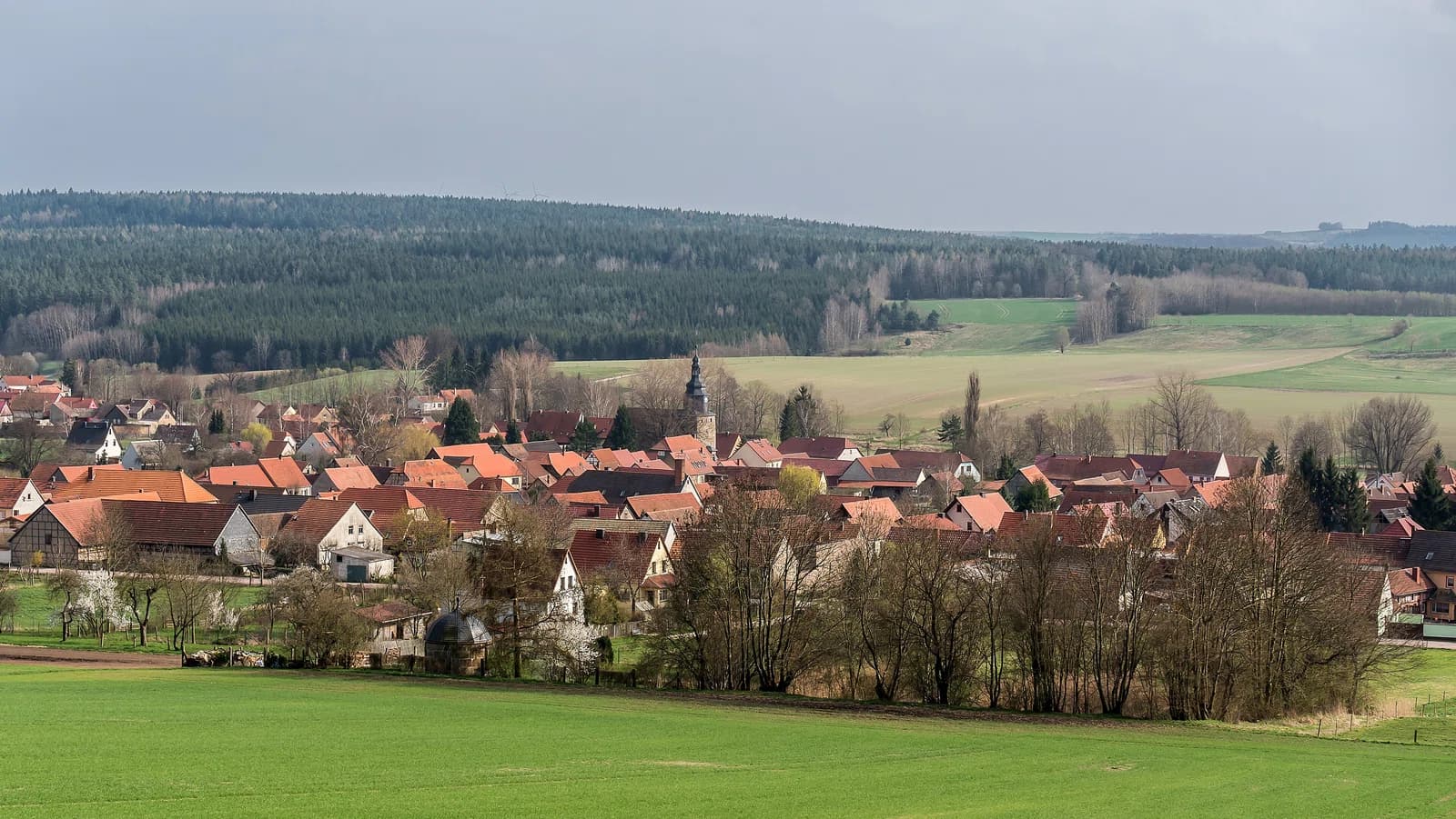 Tonndorf