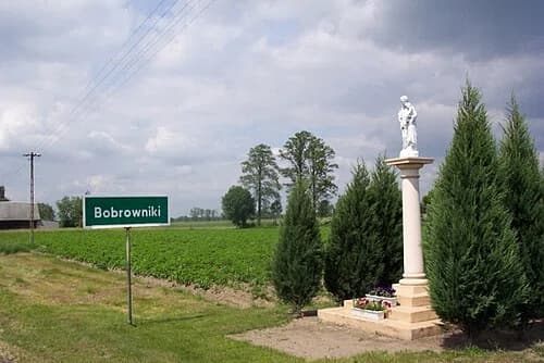 Bobrowniki