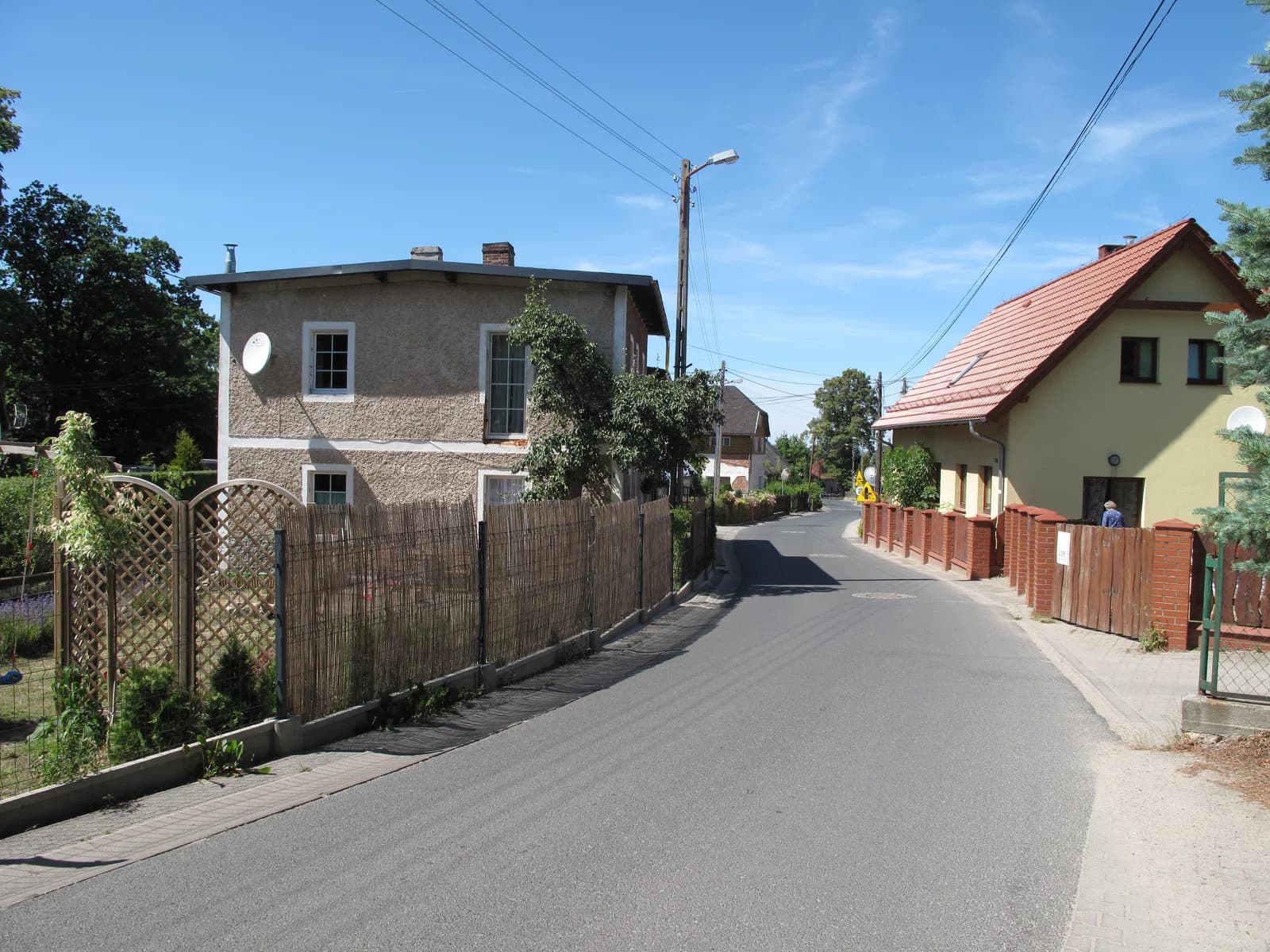 Ściegny