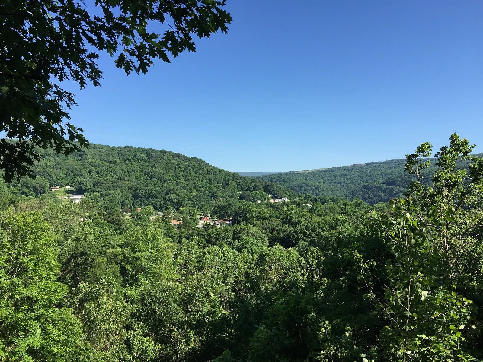 Bloomington