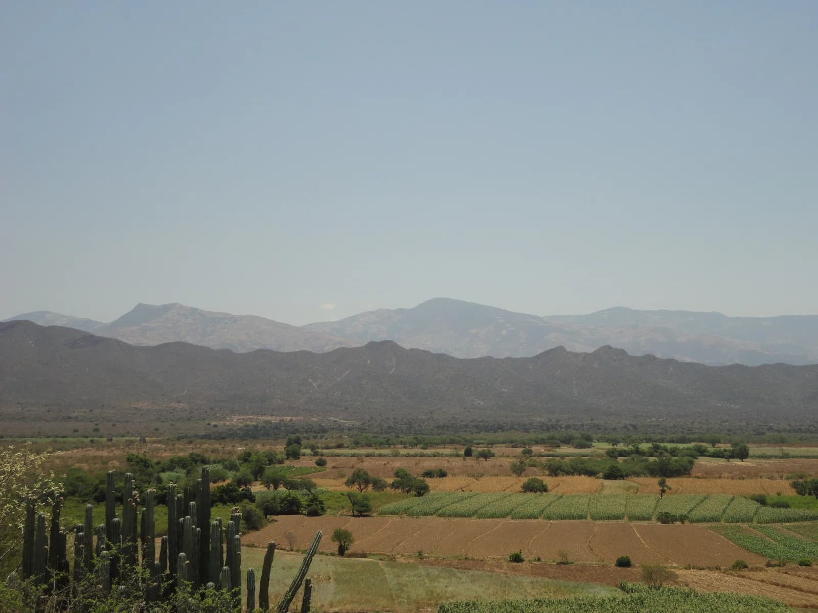 Zinacatepec Municipality