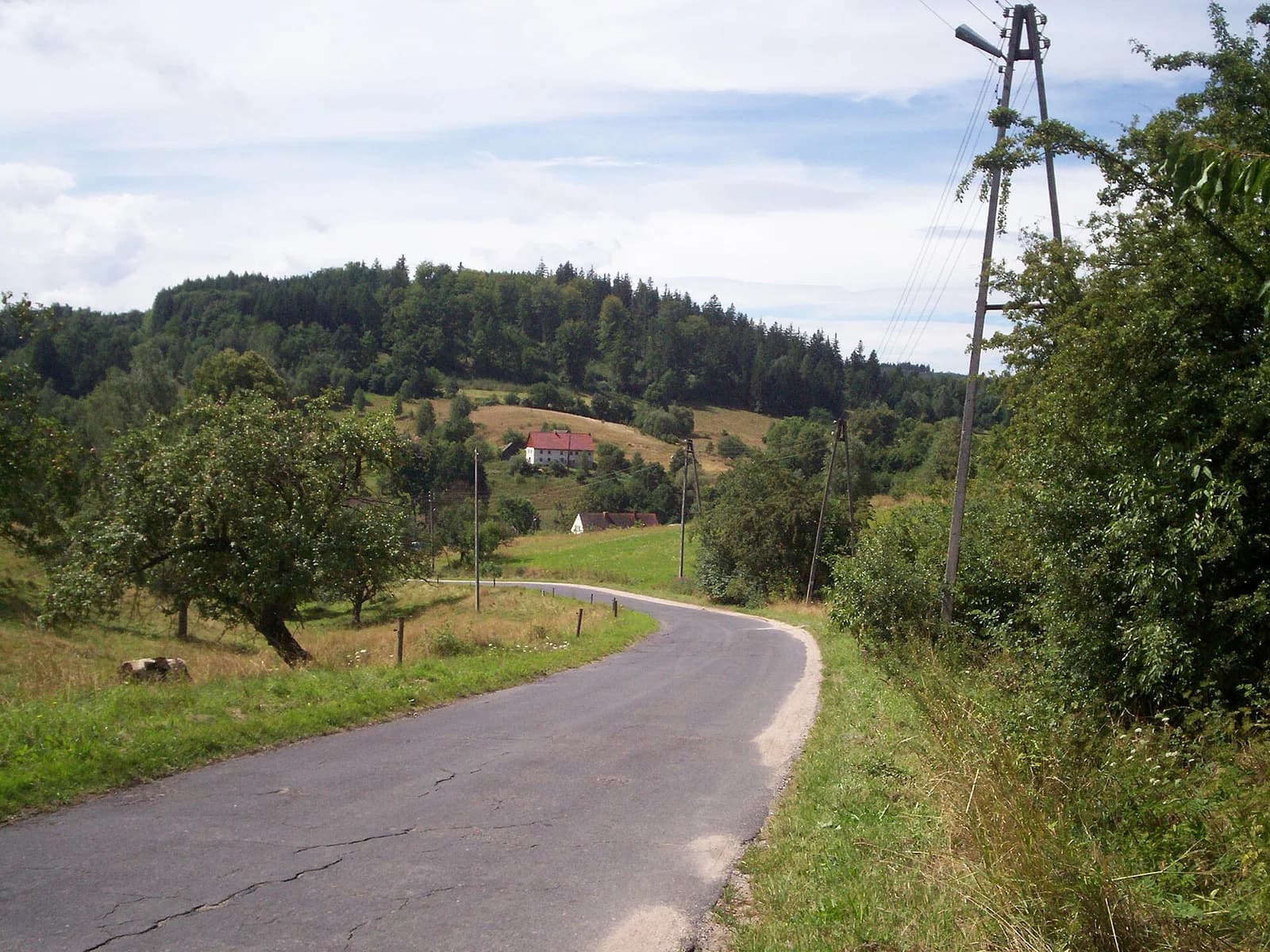 Maciejowiec