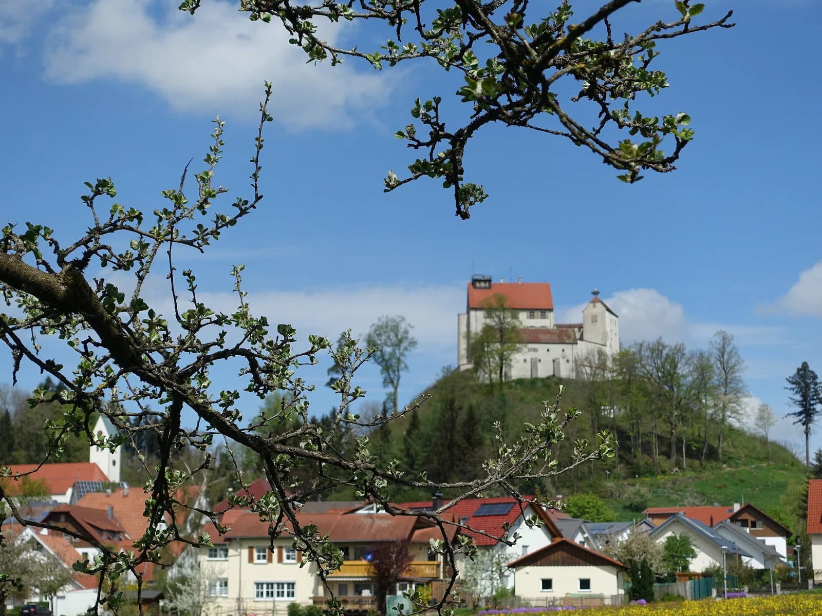 Waldburg