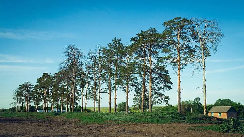 Pervomaysky District, Orenburg Oblast