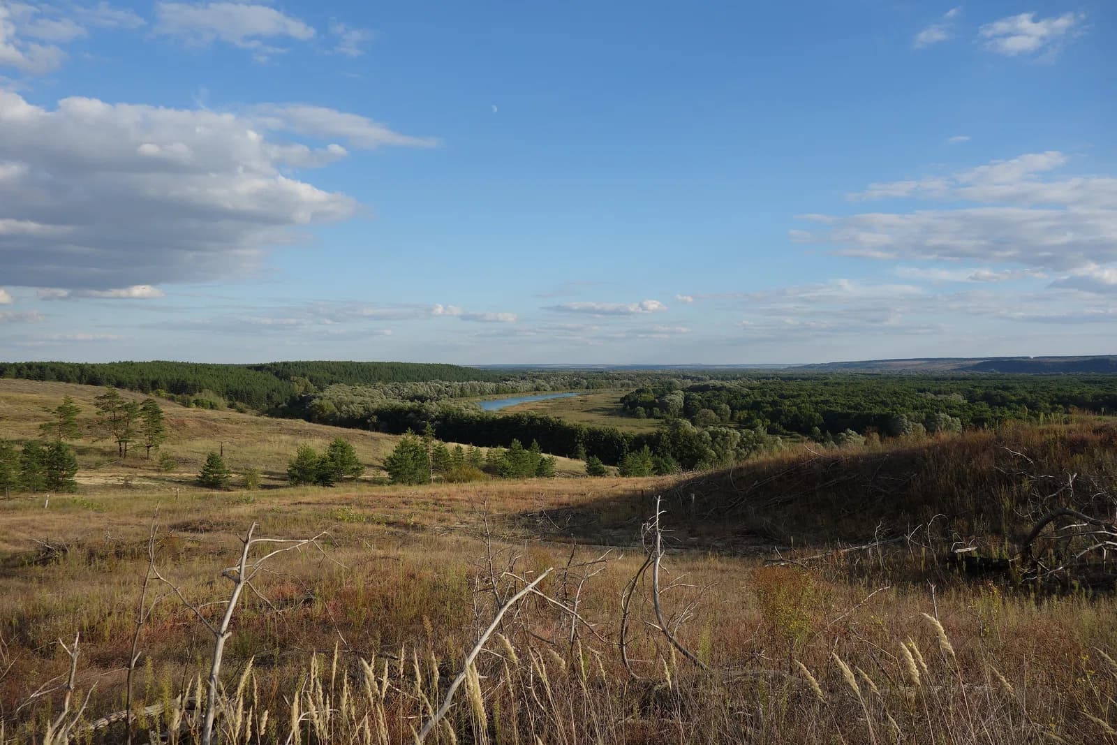 Petropavlovsky District, Voronezh Oblast