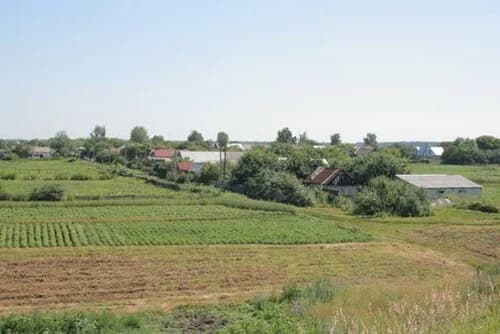 Petrowski rajon