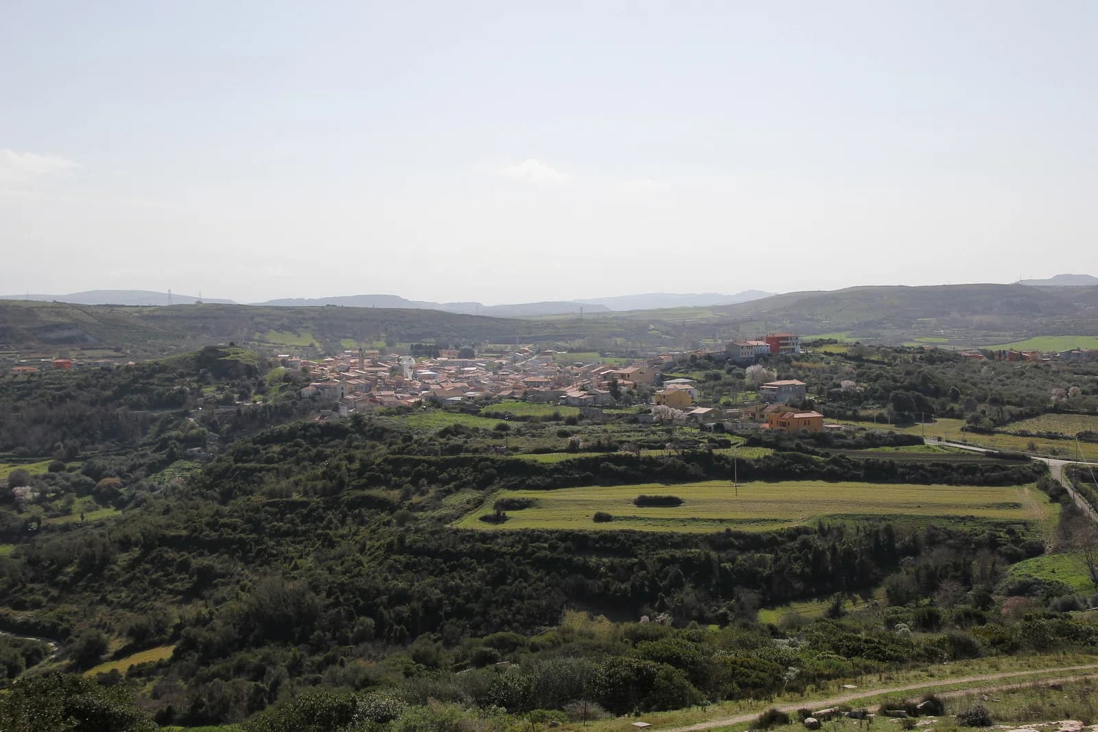 Florinas