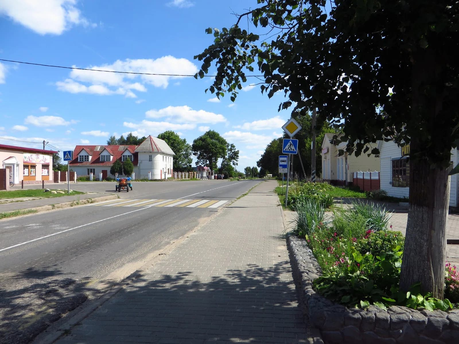 Puchavičy
