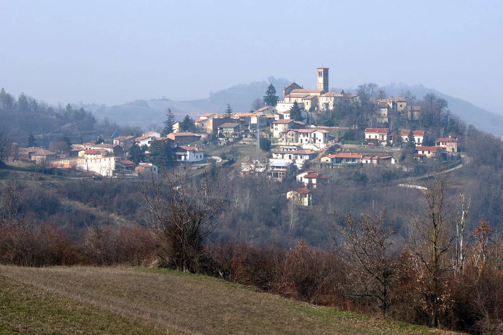 Fortunago