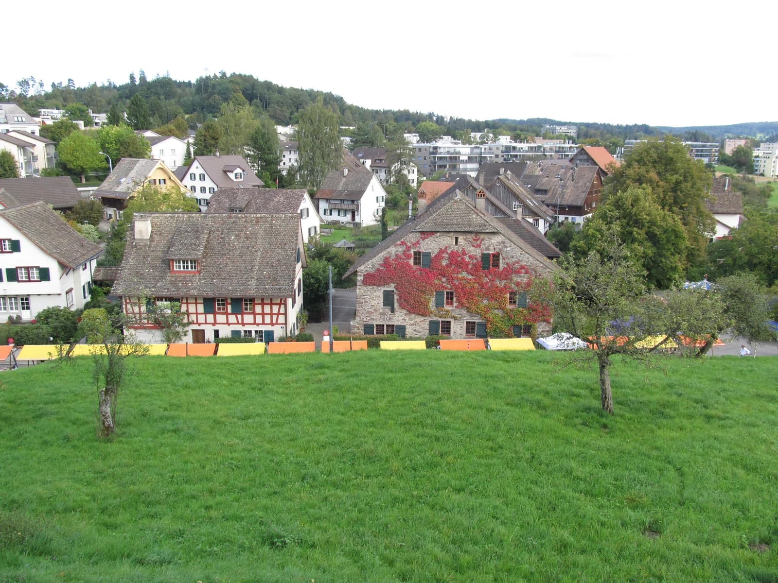 Witikon