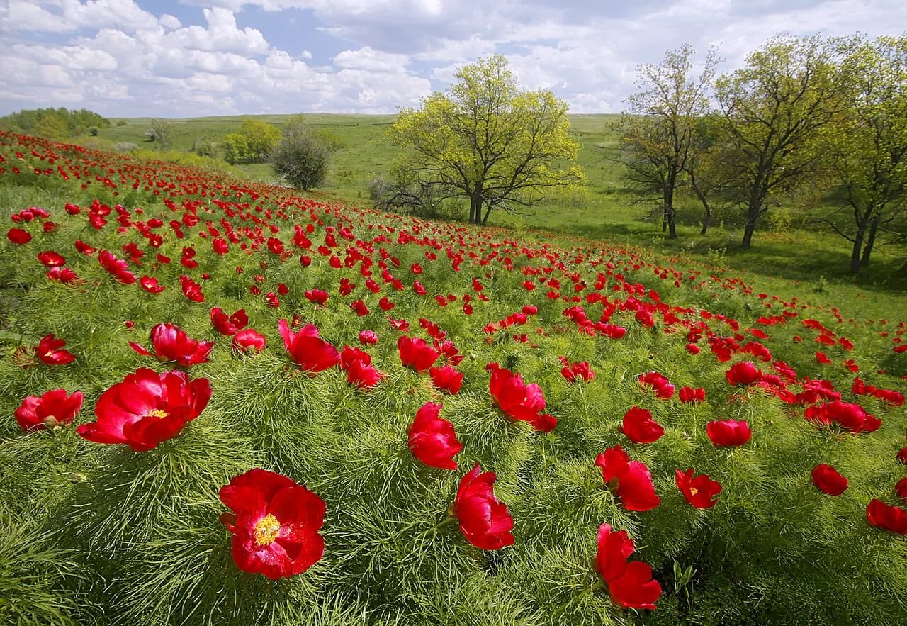 Rudnyansky District, Volgograd Oblast