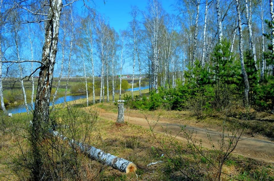 Sosnovsky District, Chelyabinsk Oblast