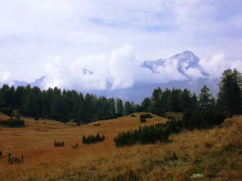 Zoldo Alto