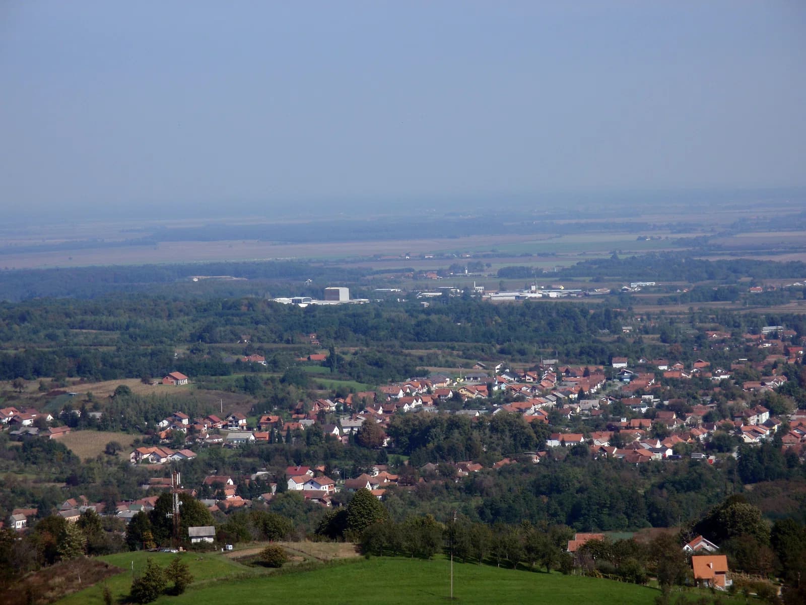 Orahovica