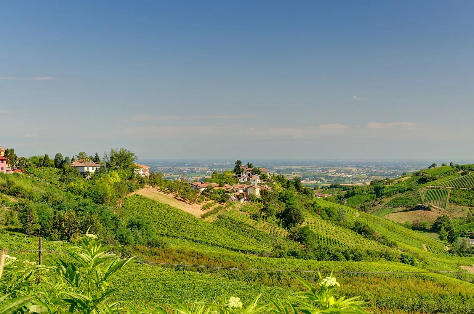 Corvino San Quirico