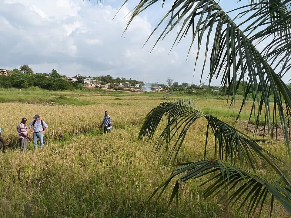 Ashanti Region