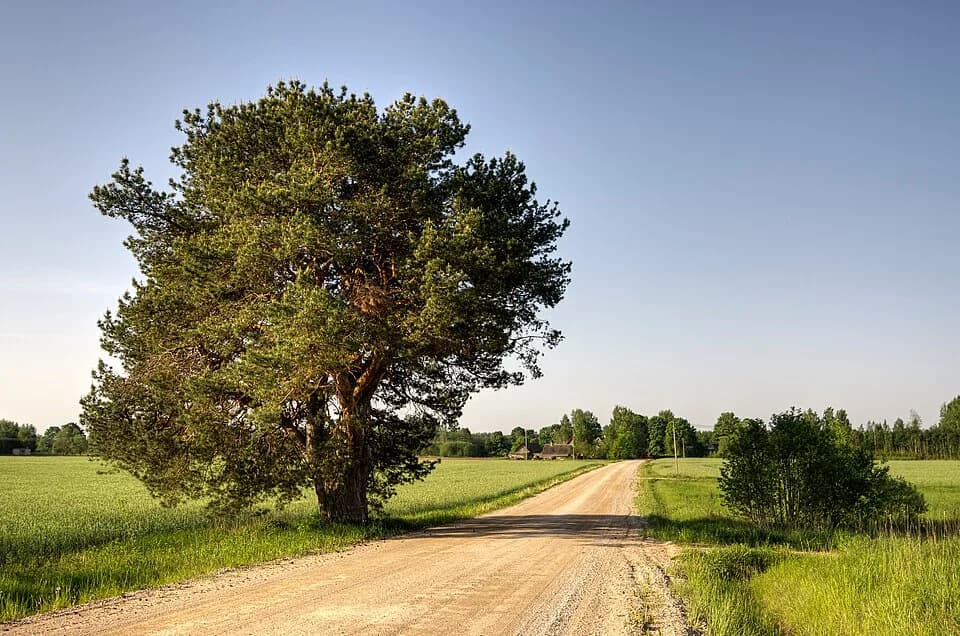 Ahja Rural Municipality