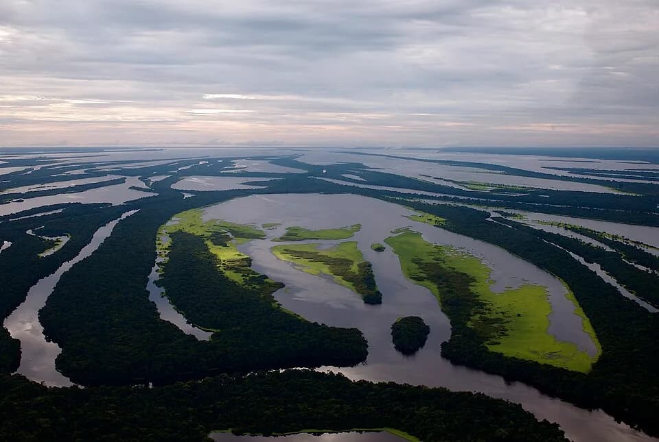 Amazonas