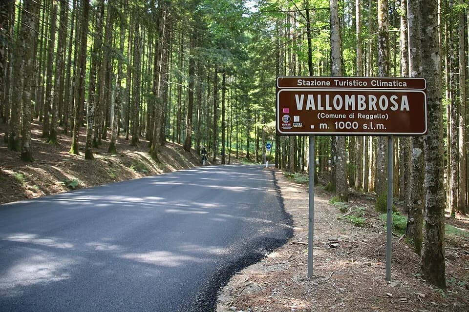Vallombrosa