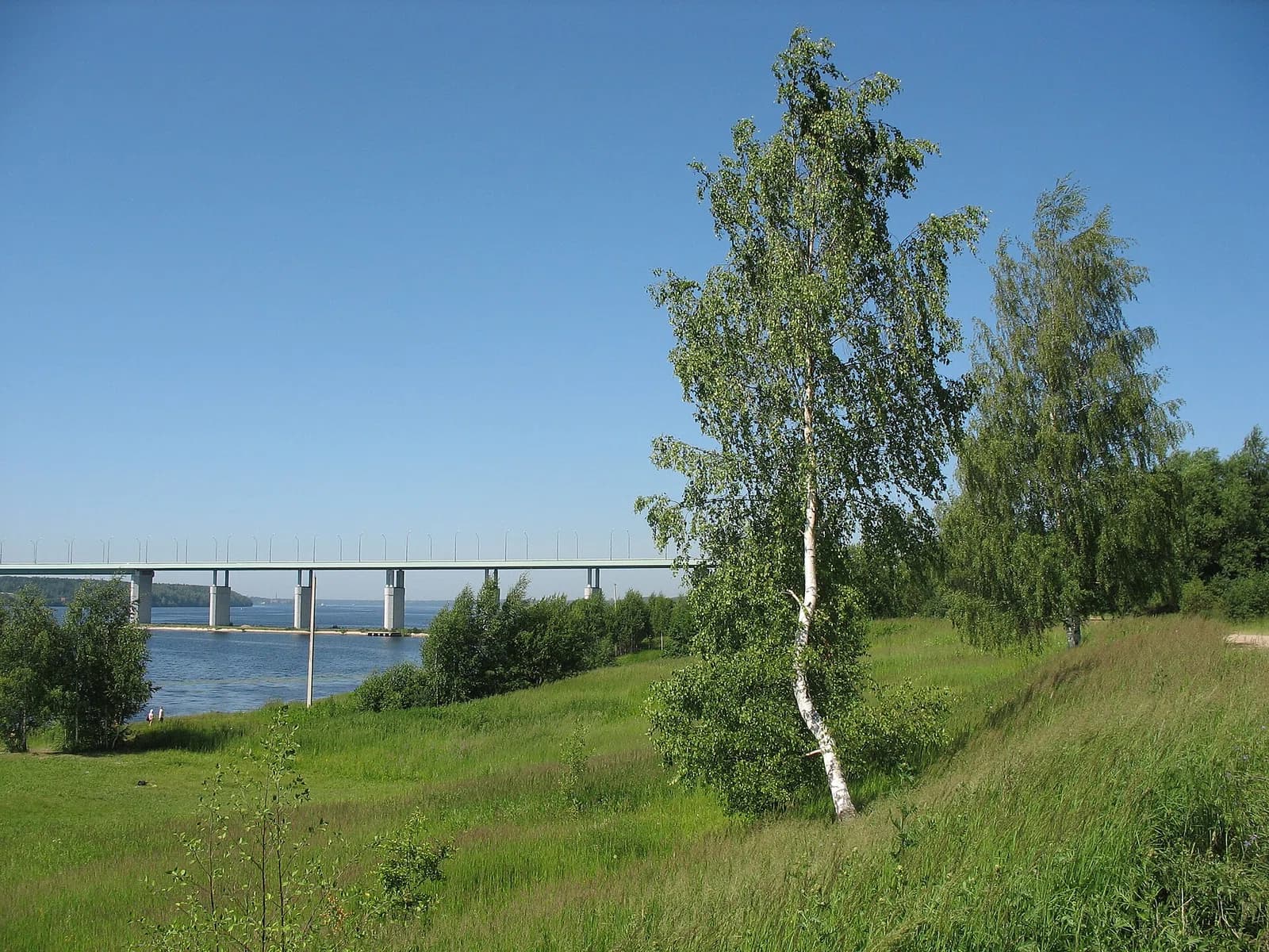 Sawolschski rajon