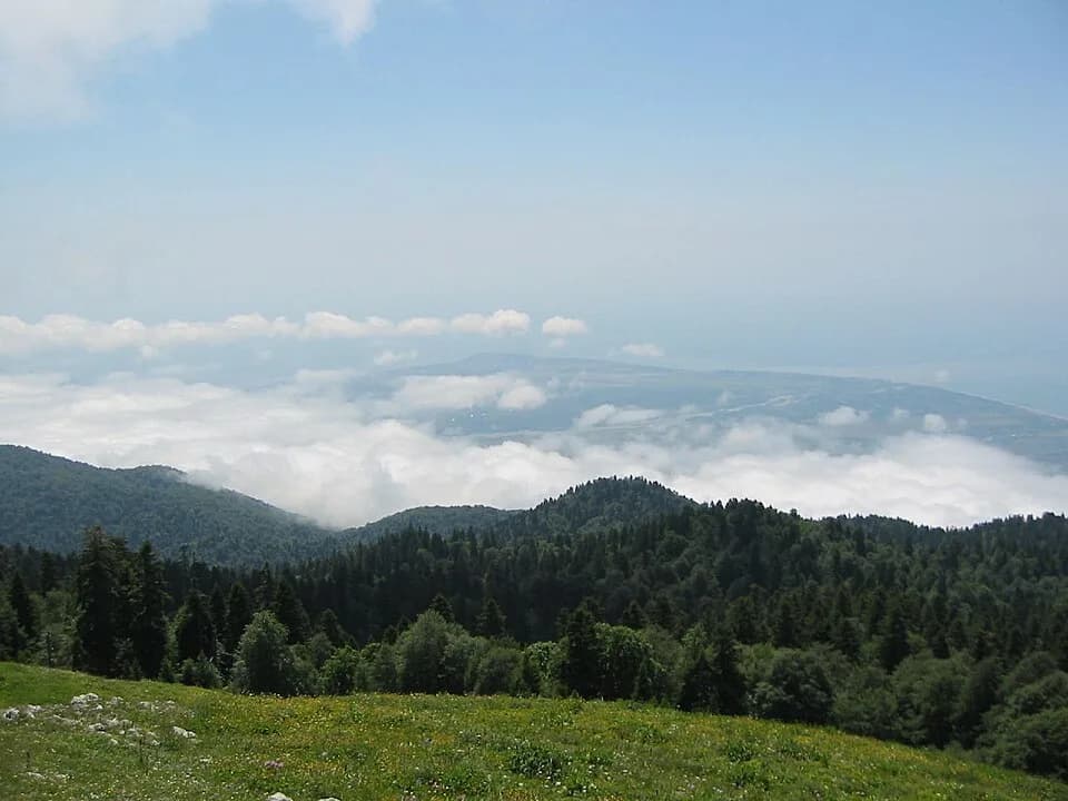 Gagra District