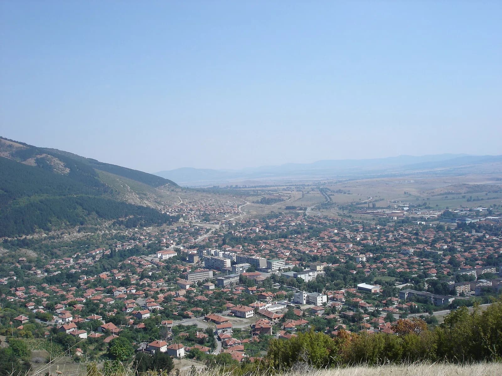 Tvarditsa