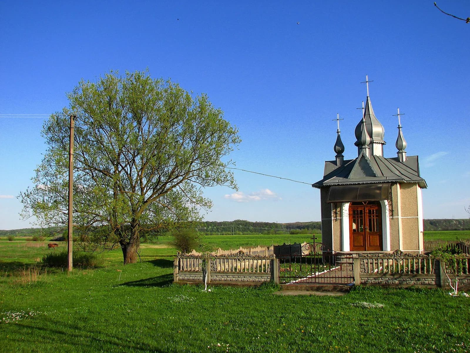Hannivtsi