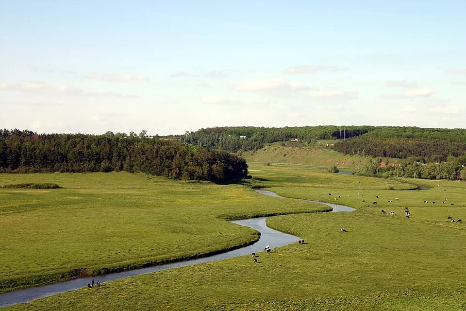 Bavoriv