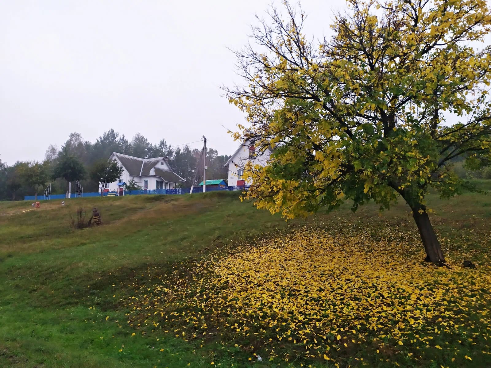 Barbaroŭ