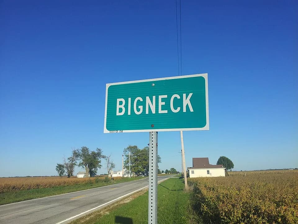 Bigneck