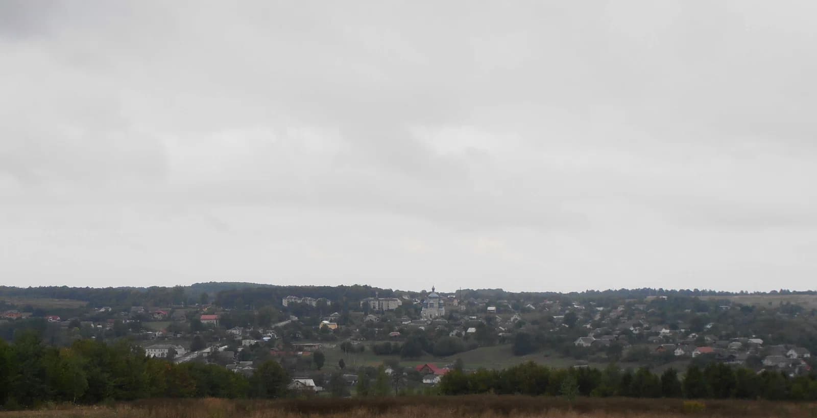 Bodnariv