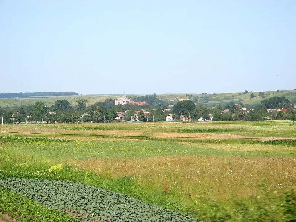 Bilschiwzi