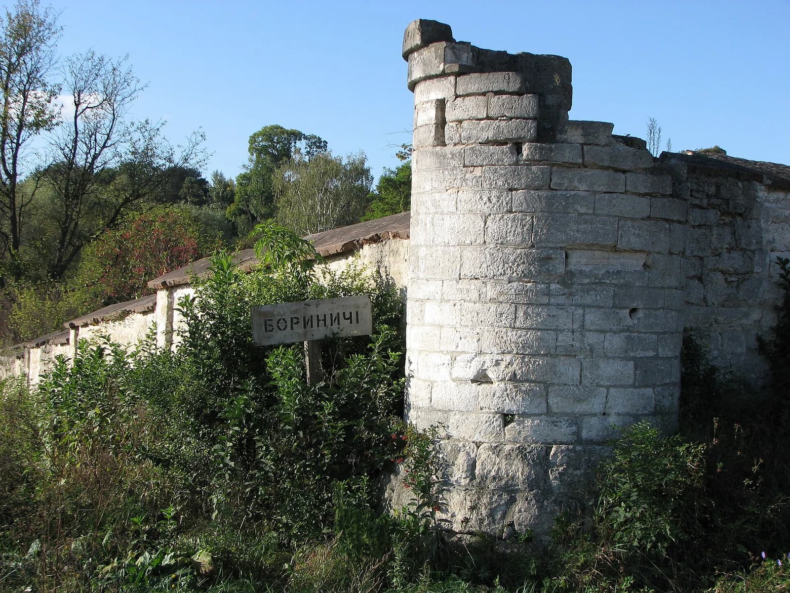Borynychi