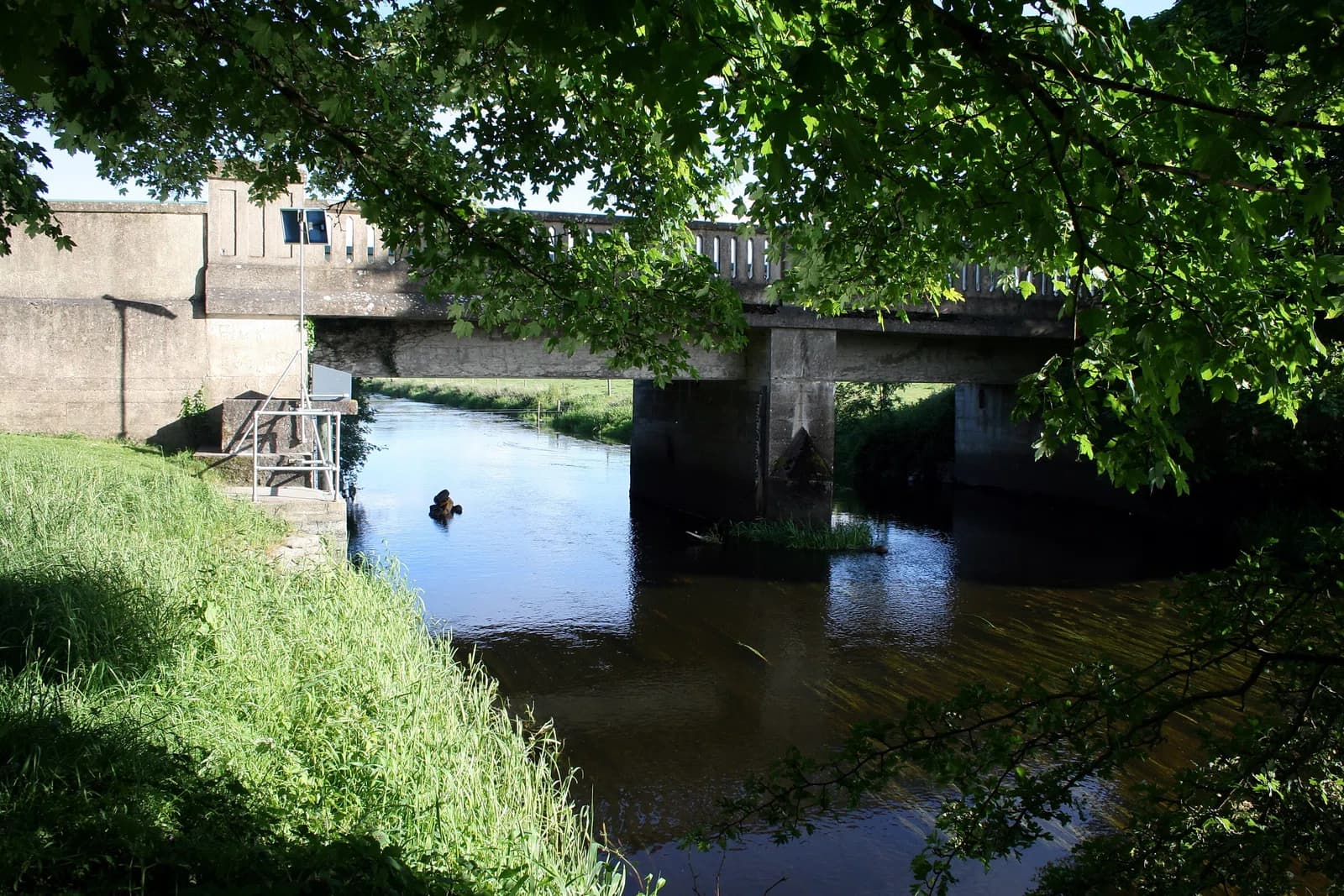 Bracknagh