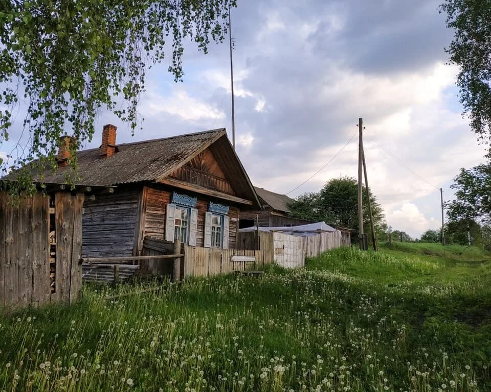 Budzišča