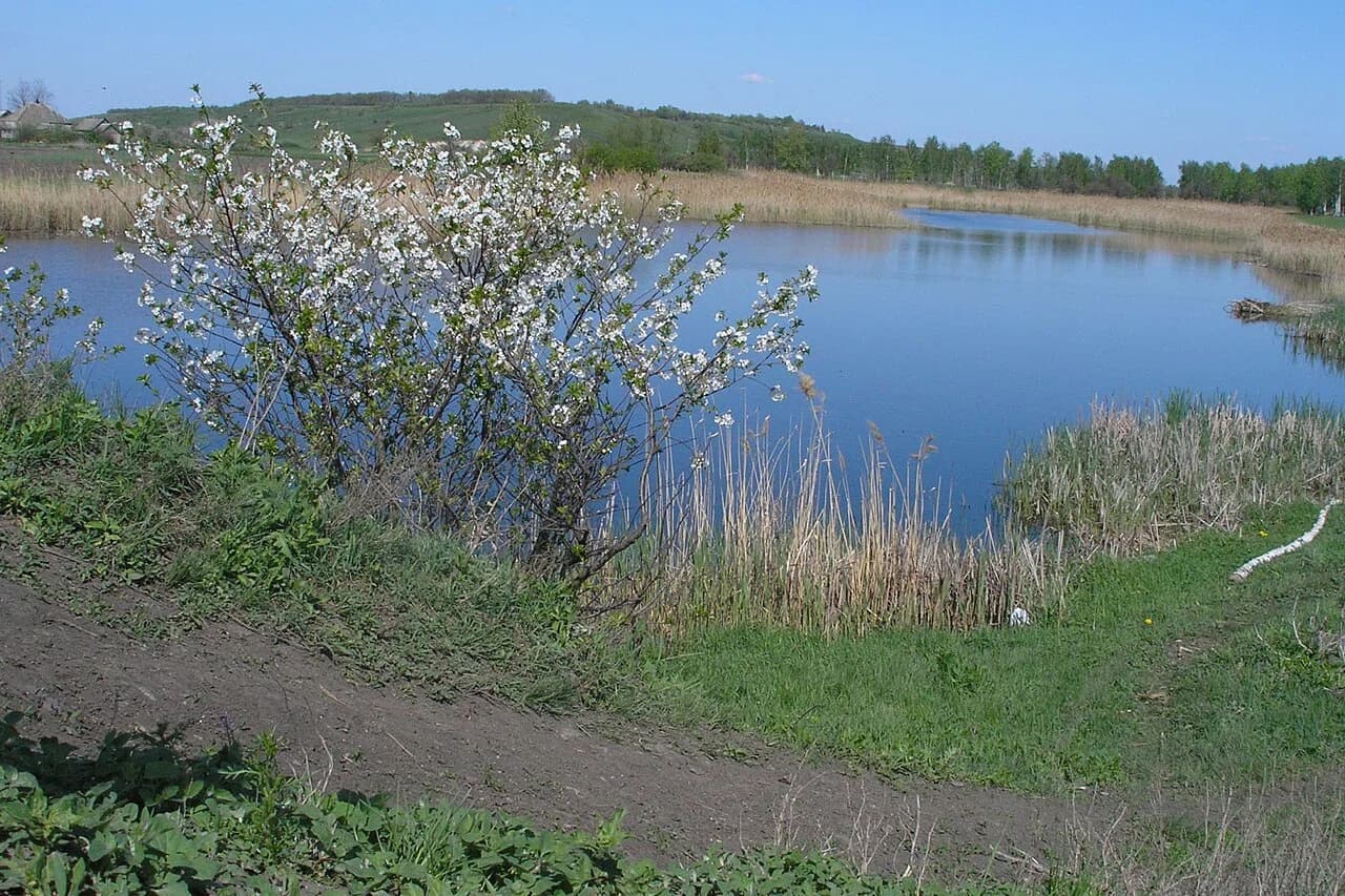 Bulhakivka