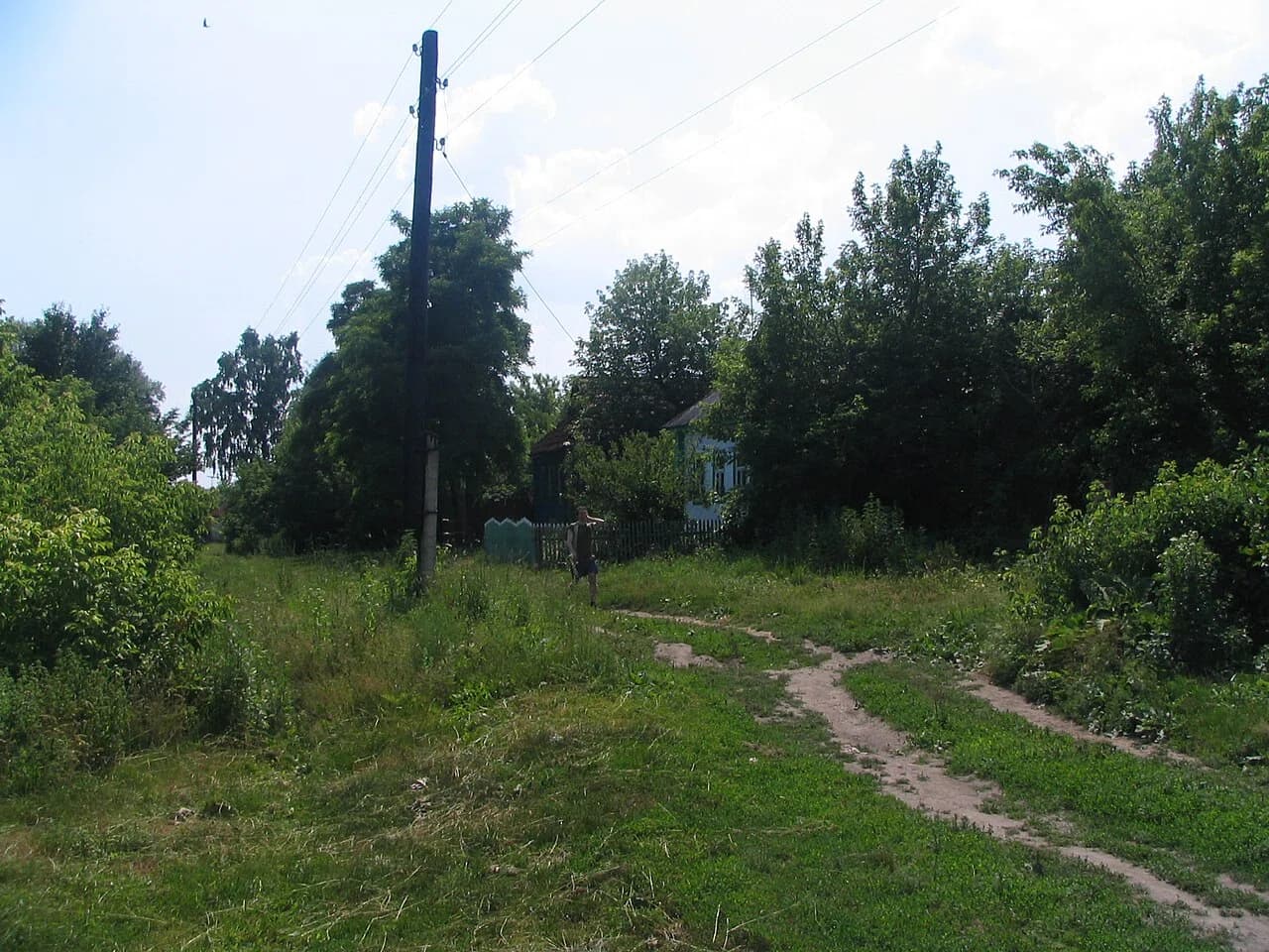 Bupel