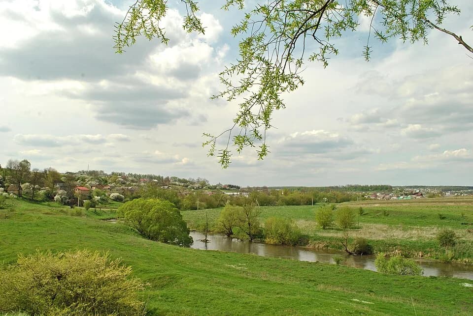 Butsniv