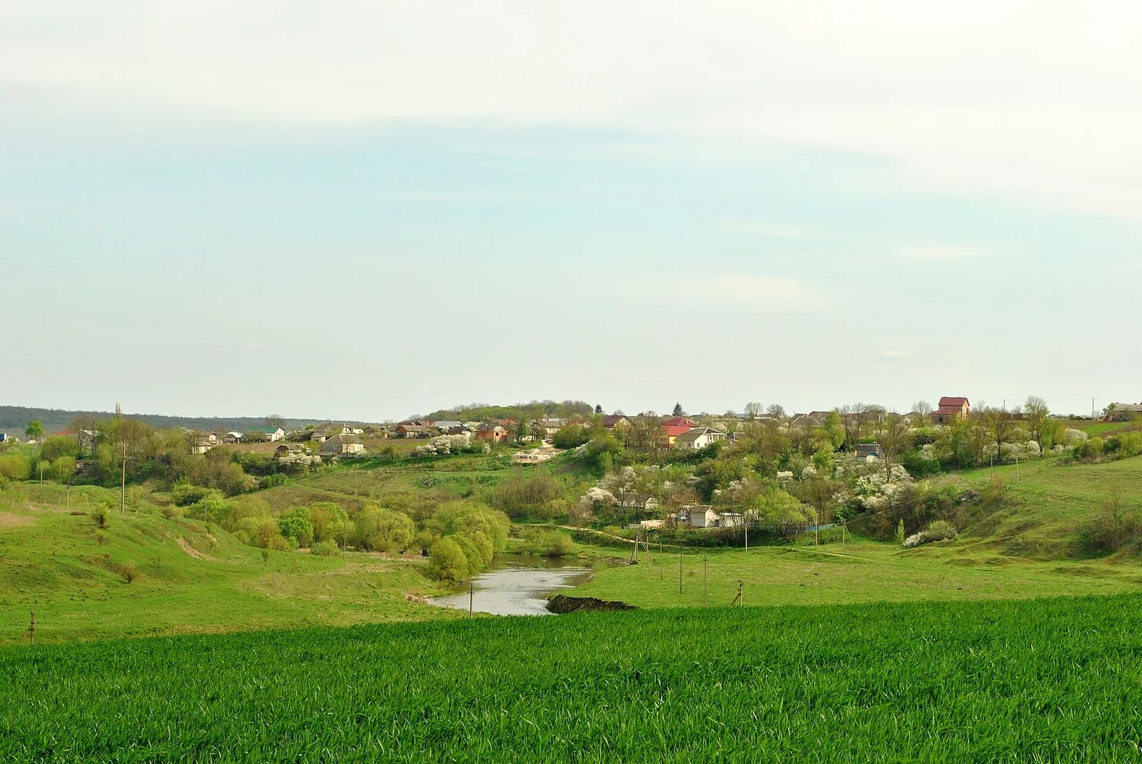 Velyka Luka